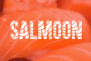 Salmoon: Where Playful Typography Meets Purposeful Design